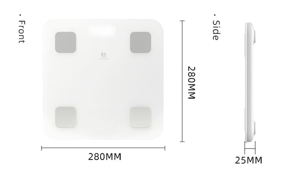 bodymaster CF516 High precision body fat scale - hottaudio